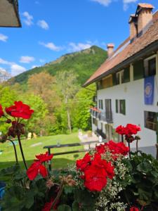 a group of red flowers in front of a building at Rifugio Fornas in Tolmezzo