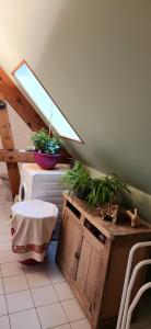 トロワにあるchampagneの天窓とテーブルの上に植物がある部屋