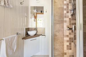 a bathroom with a sink and a shower at Lodge Natura in Ambérieu-en-Bugey +21 photos
