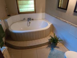 a bath tub in a bathroom with a potted plant at Ekuphumleni Holistic Healing Center in Johannesburg +17 photos