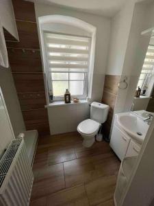 a bathroom with a toilet and a sink and a window at Apartment Berfin 2 In The City in Olbernhau +15 photos