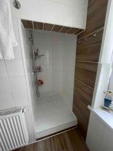a bathroom with a walk in shower next to a sink at Apartment Berfin 2 In The City in Olbernhau