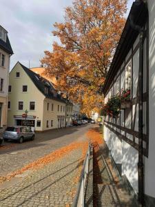 a city street with leaves on the side of a building at Apartment Berfin 2 In The City in Olbernhau