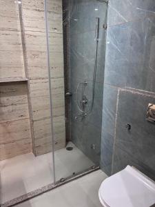 a bathroom with a shower and a toilet at NR Hotel in Rīngas +19 photos