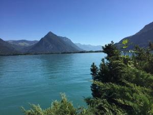 Φυσικό τοπίο κοντά σε αυτό το διαμέρισμα +3 φωτογραφίες