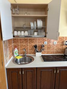 トラスコヴェッツにあるHerculesのシンクとカウンタートップのあるキッチン +183枚の写真