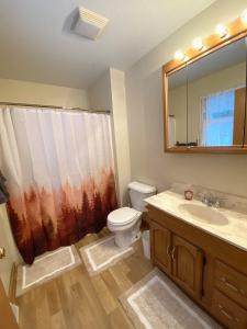 a bathroom with a toilet and a sink and a mirror at North Country Retreat in Saint Ignace +9 photos