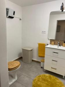 a bathroom with a toilet and a sink at De Hongaarse Vallei in Szellő +33 photos