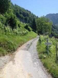 Příroda nedaleko apartmánu