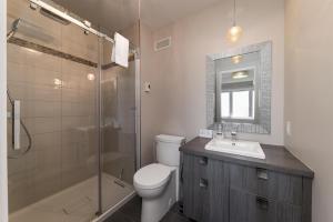 a bathroom with a toilet and a sink and a shower at Phoenix 75: River view, Spa and Pool Table in Petite-Rivière-Saint-François +20 photos