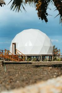 Photo de la galerie de l'établissement Cterra Saadani Luxury Tents, à Saadani 164 autres photos