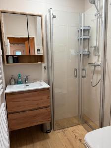 ein Badezimmer mit Waschbecken und Dusche in der Unterkunft Apartment auf zwei Etagen - Casita in Burgstaedt