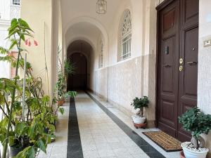 un corridoio con piante in vaso e una porta marrone di Hulin guesthouse a Roma