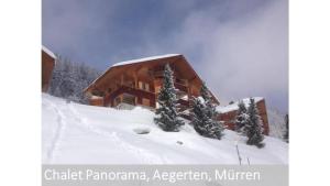 a log cabin in the snow with trees at Panorama 2 Bett Wohnung in Mürren