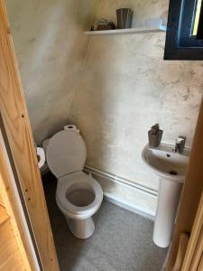 ein kleines Badezimmer mit Toilette und Waschbecken in der Unterkunft A-Frame Haven in Dealu Muntelui