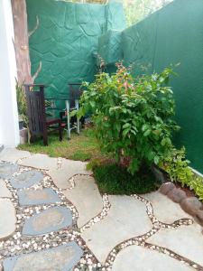 un jardín con mesa, sillas y plantas en Dihini Villa, en Unawatuna 29 fotos más