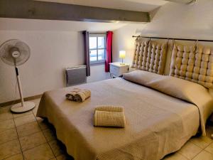 - une chambre avec un grand lit et un ventilateur dans l'établissement Grand appart proche des plages Parking privé, à Saintes-Maries-de-la-Mer