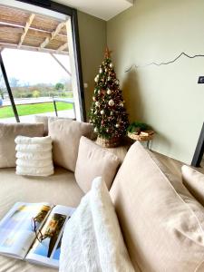 a christmas tree in a living room with a couch at La Villa face au Lac in Saramon