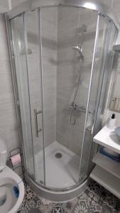 a shower stall in a bathroom with a toilet at Appartement Hyper Centre, 1er étage in Fougères
