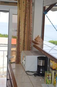 Kuchyň nebo kuchyňský kout v ubytování Appartement moderne à Deshaies, 35 m², vue mer