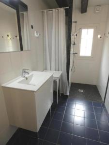 a bathroom with a white sink and a shower at Les grandes bruyères in Lesperon +26 photos