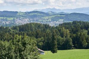 a green hill with trees and a town in the distance at Hof Höchi in Bruggen