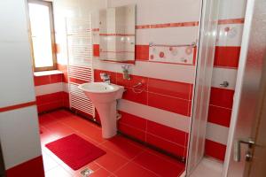 Ένα μπάνιο στο Pensiunea La Radu +11 φωτογραφίες