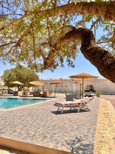 Bazén v ubytování Al jazira Suite by Maj Nia - Jardin - Piscine - Luxe - 2 Px nebo v jeho okolí