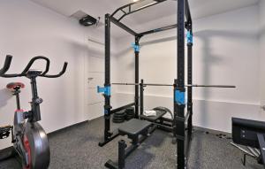 Fitness centrum a/nebo fitness zařízení v ubytování Cozy Home In Kapela With Sauna