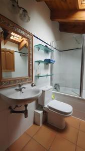 ein Badezimmer mit Waschbecken, Toilette und Spiegel in der Unterkunft Casa Pepe Baltarga in Prats i Sansor + 14 Fotos