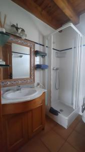 ein Badezimmer mit Waschbecken und Dusche mit Spiegel in der Unterkunft Casa Pepe Baltarga in Prats i Sansor