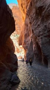 Příroda nedaleko penzionu