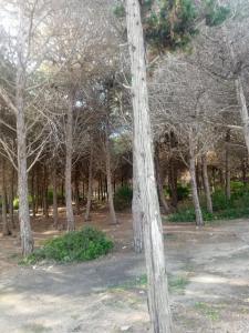 Φυσικό τοπίο κοντά σε αυτή η βίλα