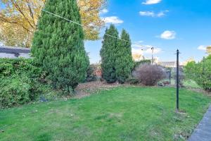 un groupe d'arbres dans une cour avec un champ d'herbe dans l'établissement Free Parking - Central - Sleeps 6 - 3 Bedrooms, à Tranent