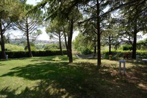 einen Park mit Bäumen und einer Hängematte im Gras in der Unterkunft Villa Nunzia in Cupramontana
