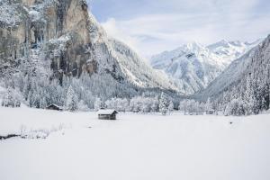 Una cabaña en un campo cubierto de nieve con montañas. en Ferienwohnung Hartlbauer In Dorfgastein, en Dorfgastein