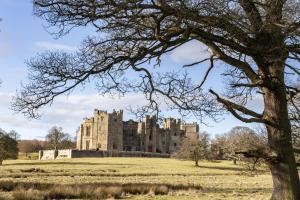 a castle in a field with a tree at California Cottage 2 in Middleton in Teesdale +9 photos
