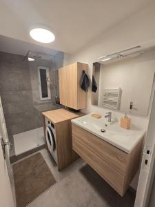 Η κουζίνα ή μικρή κουζίνα στο L'étoile Havraise - 4 people 3 beds