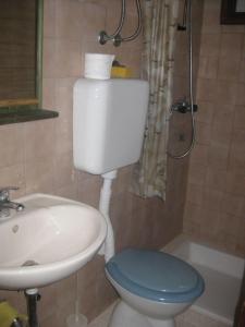 a bathroom with a toilet and a sink and a shower at Apartment Mit Terrasse Direkt Am Meer in Betina