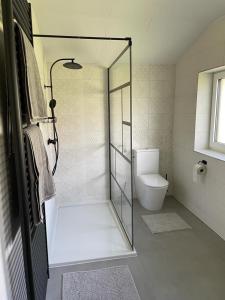 ein Badezimmer mit Dusche und Toilette in der Unterkunft Wohnung am Attersee in Steinbach am Attersee + 7 Fotos