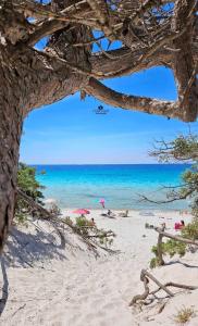 a beach with people laying on the sand and the ocean at Typic loft Alghero in Alghero