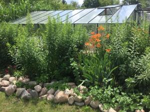 Zahrada ubytování Kleines Ferienhaus In Rangsdorf Mit Großem Garten