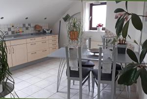 Kuchyň nebo kuchyňský kout v ubytování Haus Krönert