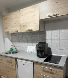 a kitchen with a sink and a microwave at Modern Apartment 2 in Brčko +5 photos