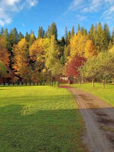 Příroda nedaleko vily