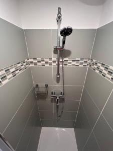 a shower in a bathroom with a shower head at Studio à 20 min des cures thermales de La Roche Posay - Casino in Archigny