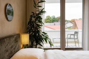 um quarto com uma cama, uma planta e uma janela em Pievos em Birštonas