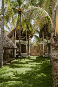 ein Haus mit Palmen davor in der Unterkunft hotel nativo san blas in Playa San Blas