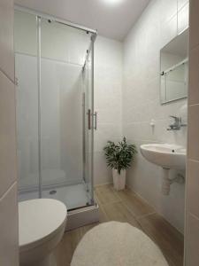 グリフィツェにあるHotel Gryfのシャワー、トイレ、洗面台を備えたバスルーム