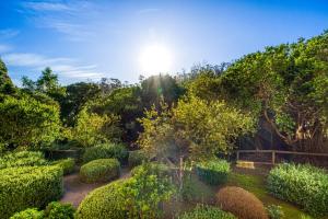 Aed väljaspool majutusasutust Brisa Viva Papudo - 3D Wifi y Playa